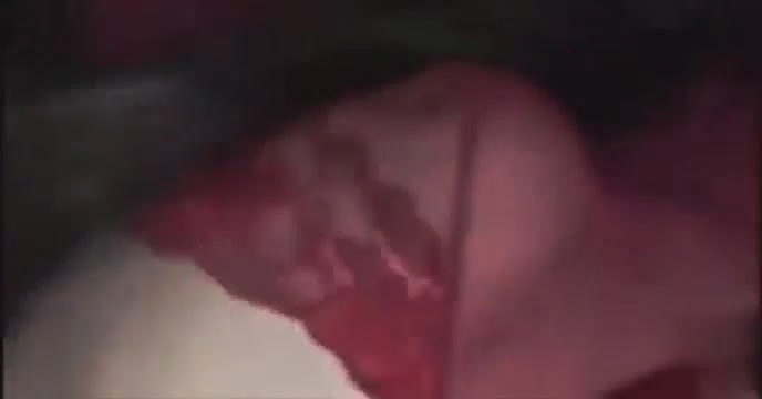 Beautiful wife blowjob and doggy fuck