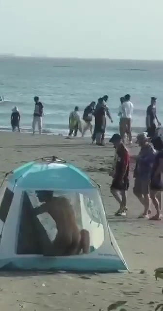 CARPA POLARIZADA PLAYA ARGENTINA