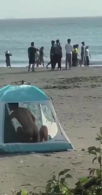 CARPA POLARIZADA PLAYA ARGENTINA