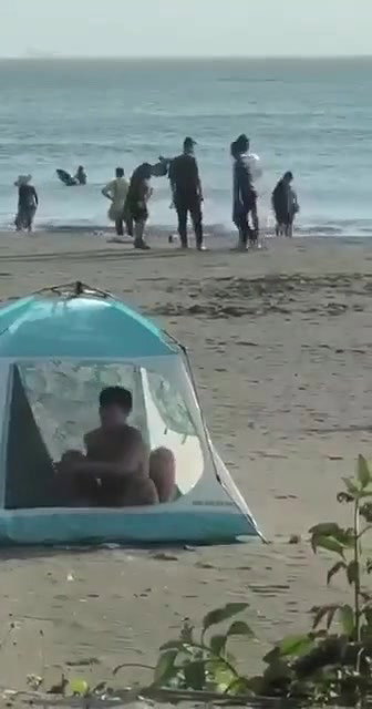 CARPA POLARIZADA PLAYA ARGENTINA