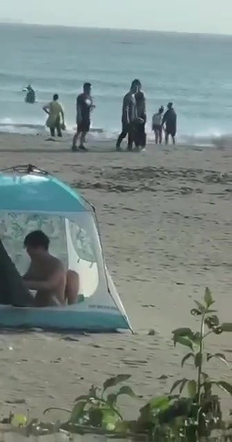 CARPA POLARIZADA PLAYA ARGENTINA