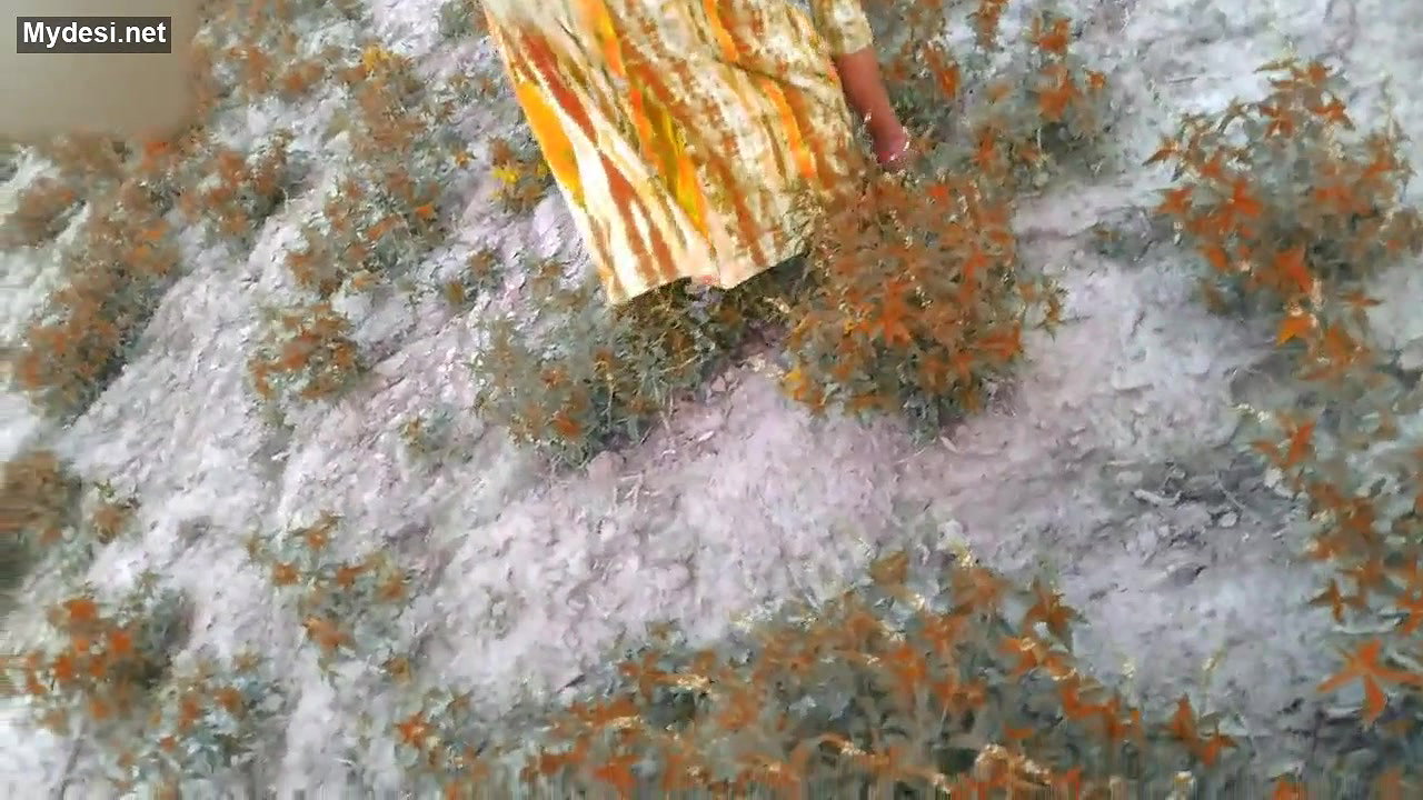 Village desi bhabhi his devar outdoor shot back home fuck