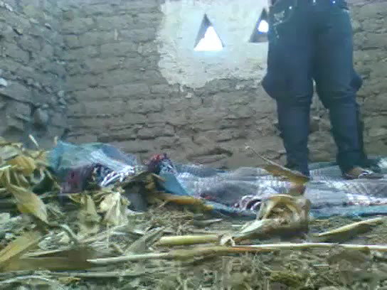 fucking a raand outdoors