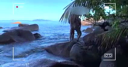 honey moon couples fucking in goa sea shore (hidden cam vdio)