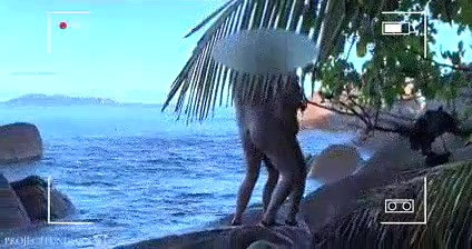 honey moon couples fucking in goa sea shore (hidden cam vdio)