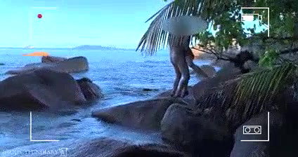 honey moon couples fucking in goa sea shore (hidden cam vdio)