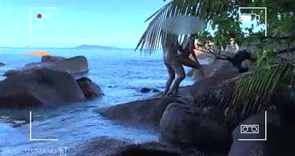 honey moon couples fucking in goa sea shore (hidden cam vdio)