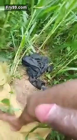 Desi village couple fucking field