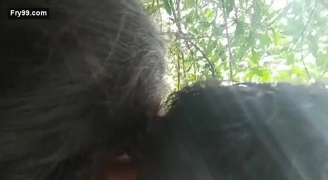 Fucking outdoor in jungle