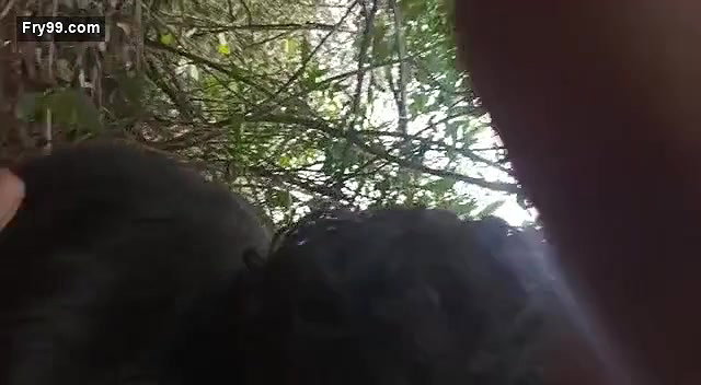 Fucking outdoor in jungle
