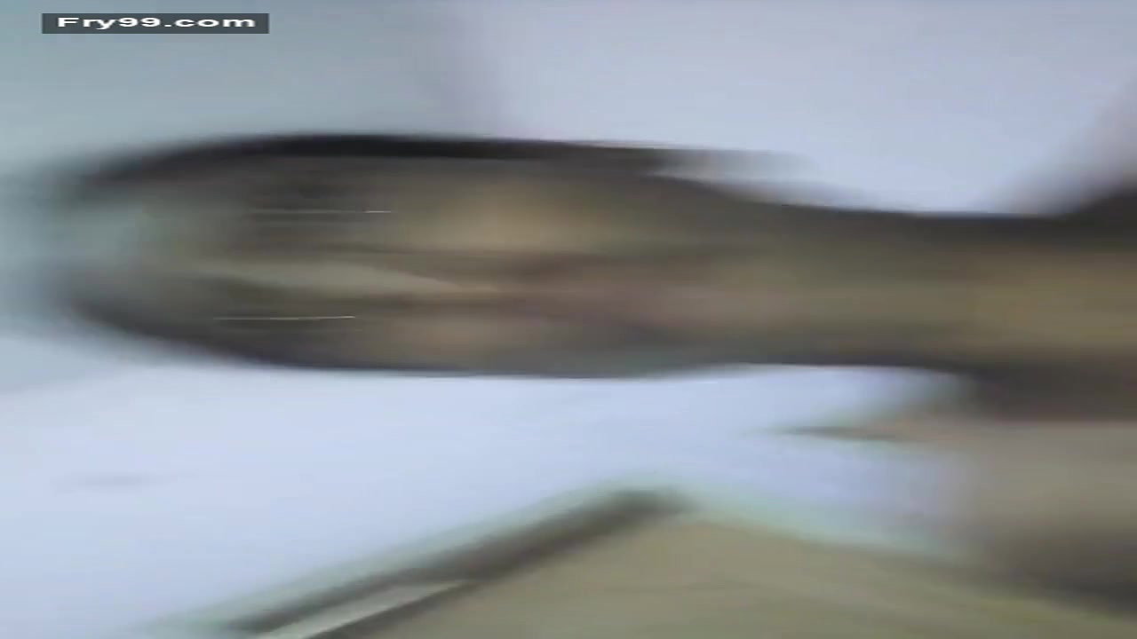 Paki Maid Najma Blowjob And Anal Ride