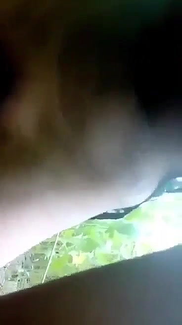 Shaved pussy fucking I jungle