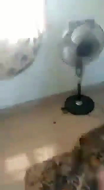 South bhabhi fucking