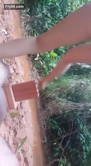 Jungle outdoor fucking