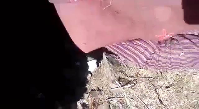 Paki mature bhabhi outdoor with lover
