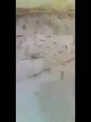 Naughty NRI Couple Outdoor Enjoying