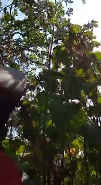 Odia Lover Outdoor Romance