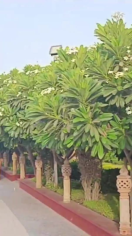 aaj me aai hu Manilakshmi tirth ⧸saree pahenkar hi temple me ⧸paheli bar family k sath vide.