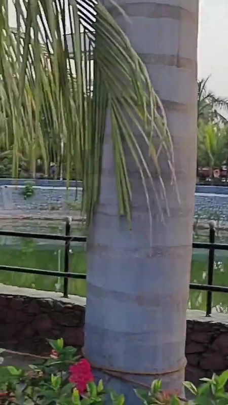 aaj me aai hu Manilakshmi tirth ⧸saree pahenkar hi temple me ⧸paheli bar family k sath vide.