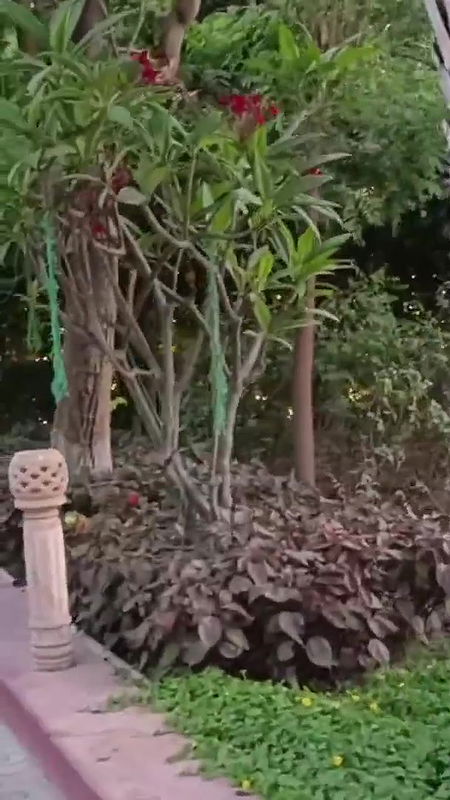 aaj me aai hu Manilakshmi tirth ⧸saree pahenkar hi temple me ⧸paheli bar family k sath vide.