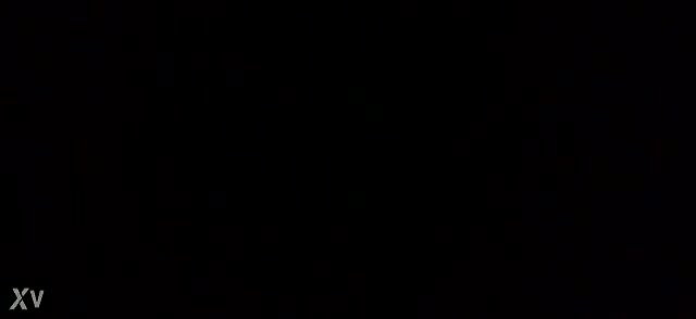 Lovers sex MMS video