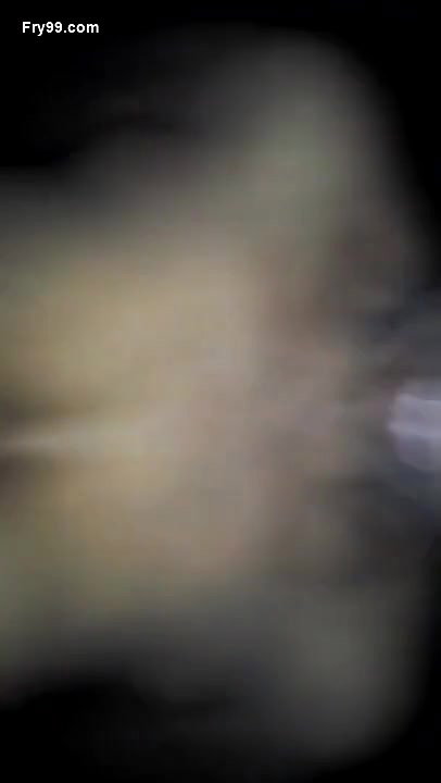 Paki Randi Fucked 2 Clips