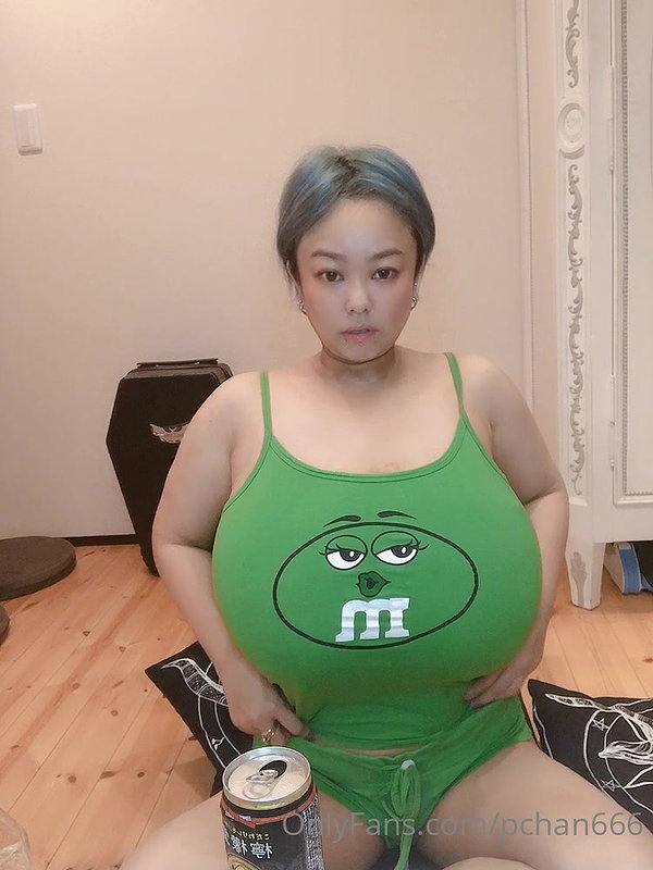 Pchan666 Onlyfans video collection – 25