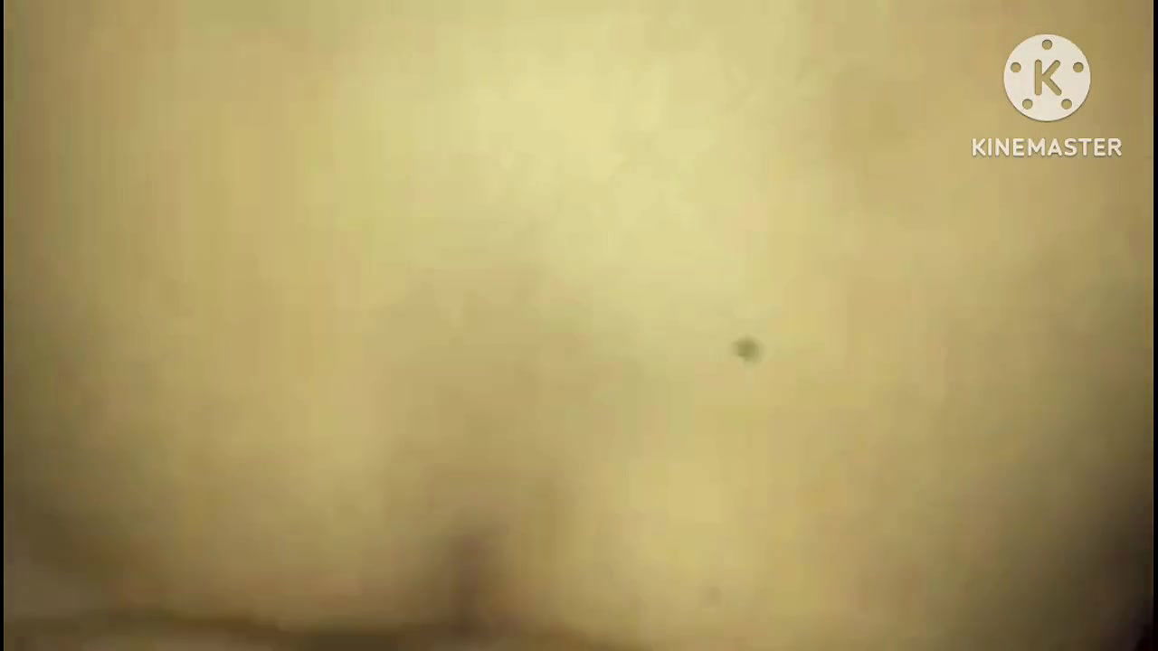 First Time Anal Sex with Girlfriend