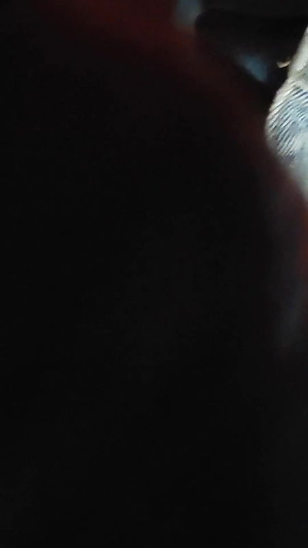 Desi mallu girl in sari hot blowjob.