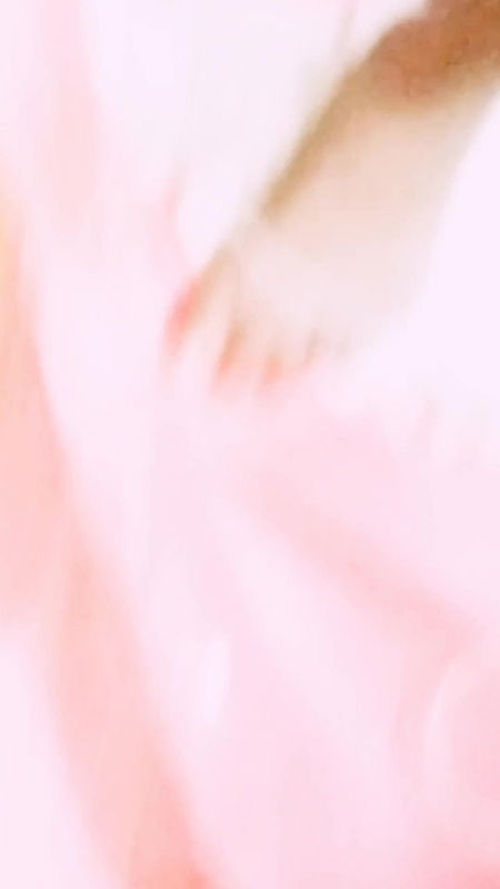 Desibhabixxx24 deshi bhabi ko kabardasti pakad liya.