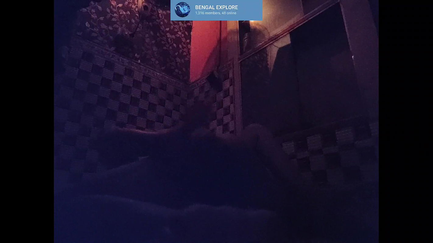 Local red light area-4