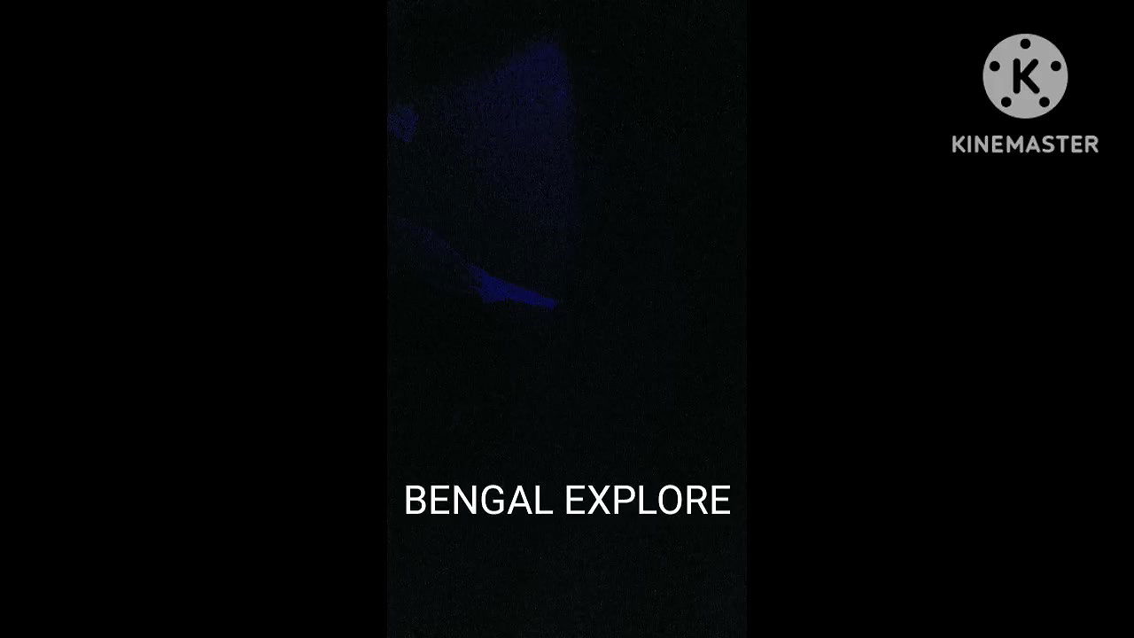 Local red light area-7