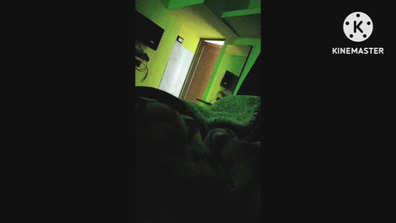 Local red light area-9