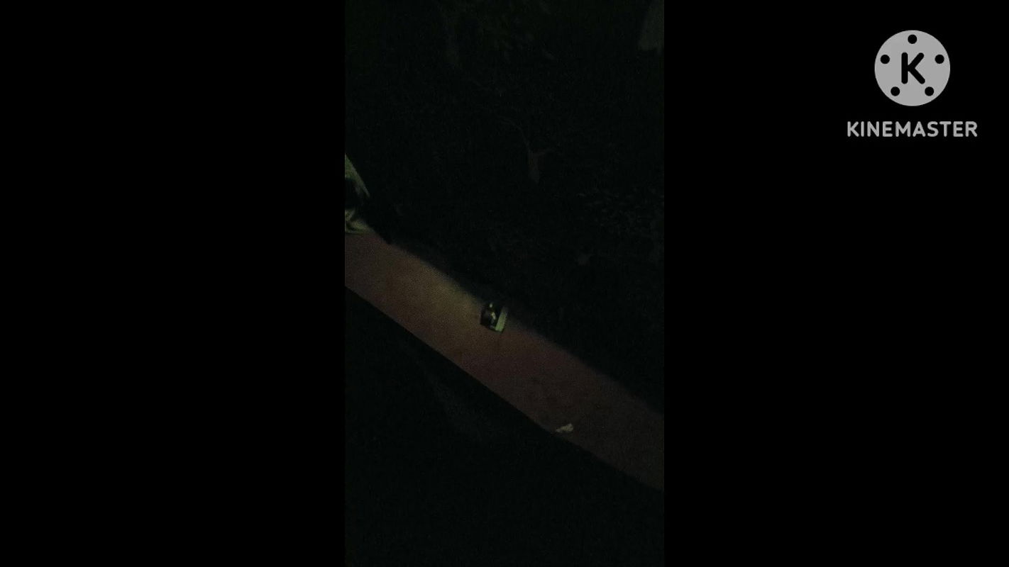 Local red light area-1