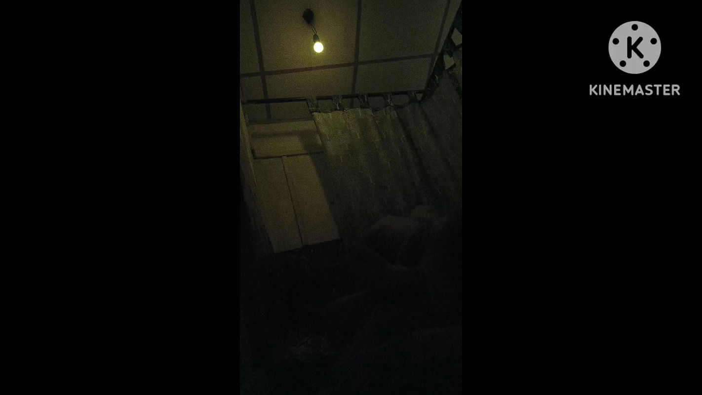 Local red light area-1