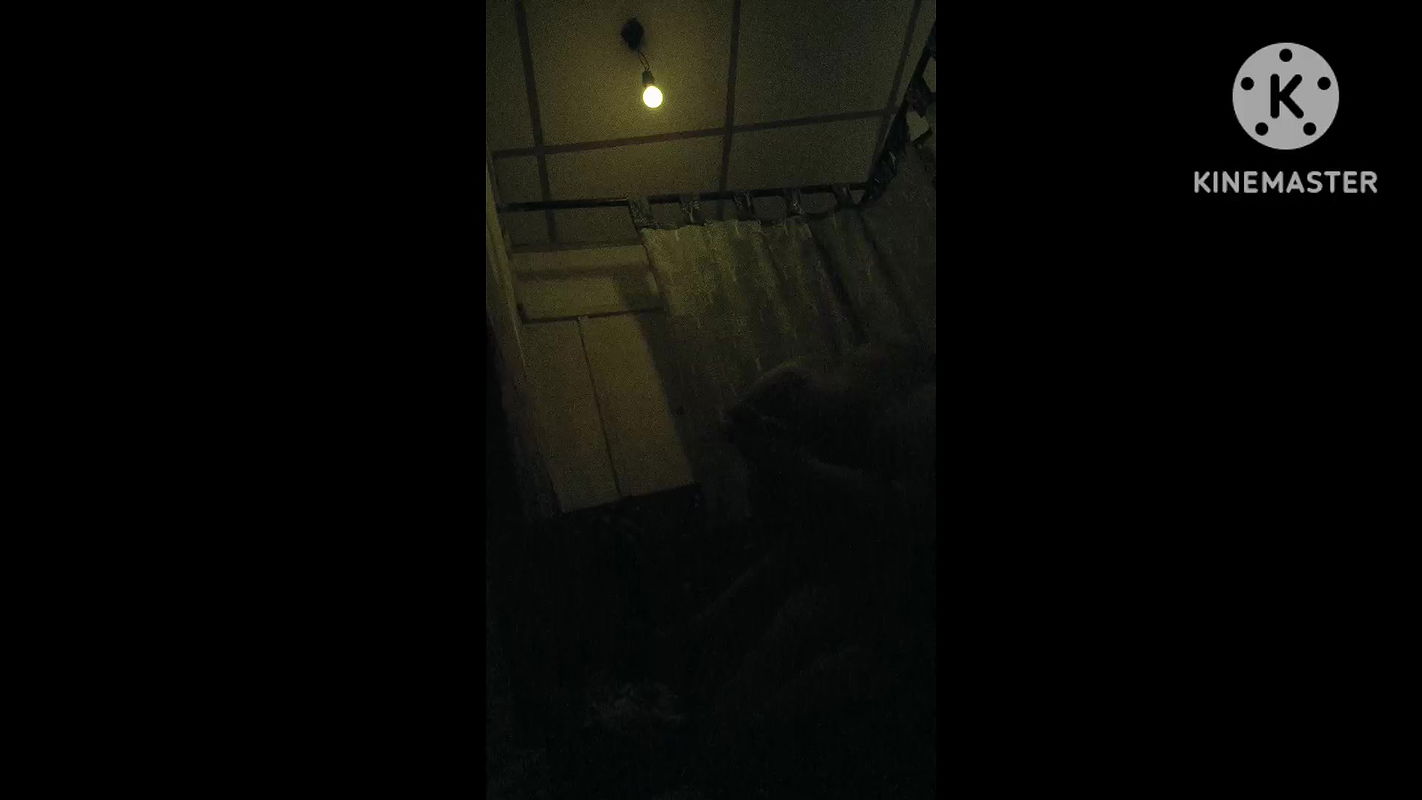 Local red light area-1