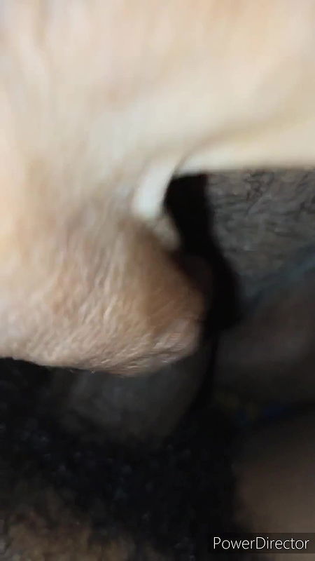 Indian bhabi ki hard fucking loud moining ohhhhhhhhhhh my god kya chuddai.