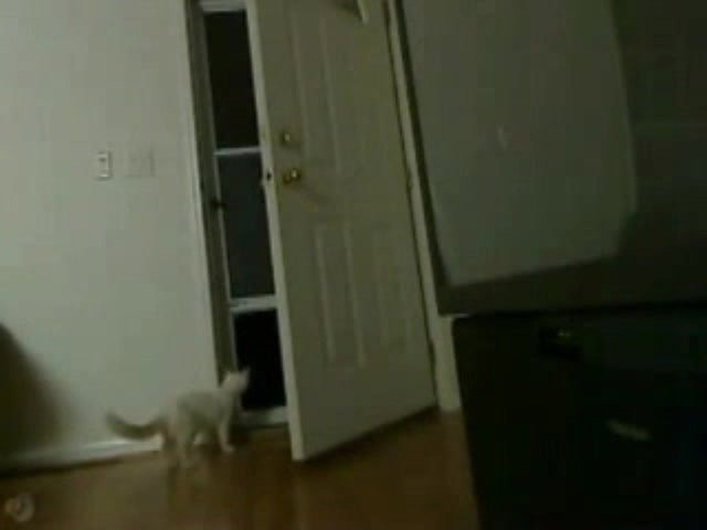 Fishnet babes cockriding in public threeway_b8544e92