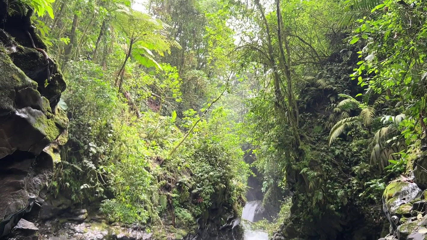 Cute Latina voyeur masturbates to an intense orgasm in public_2d44bf69