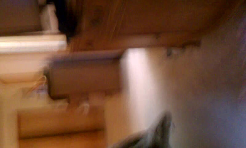 Amateur public flashing on cam_168cca41