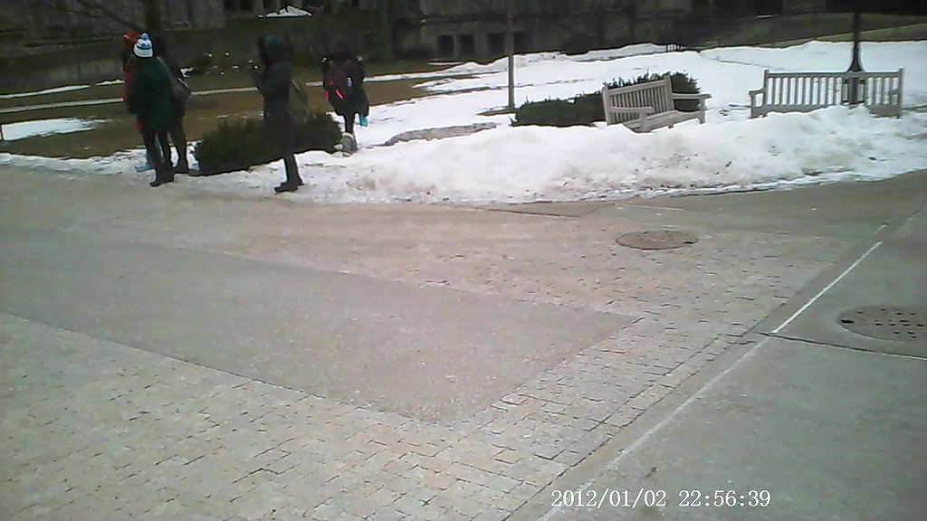 Risky Forest Fuck with a Stranger – Caught in Public Again_dc5fddbd