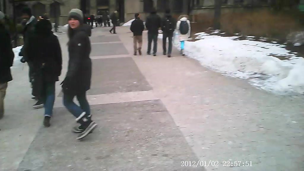 Risky Forest Fuck with a Stranger – Caught in Public Again_dc5fddbd