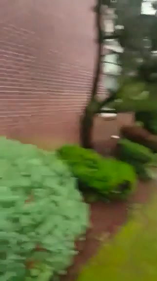 Car Blowjob on the Public Street_83bebe45