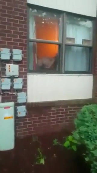 Car Blowjob on the Public Street_83bebe45