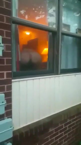 Car Blowjob on the Public Street_83bebe45