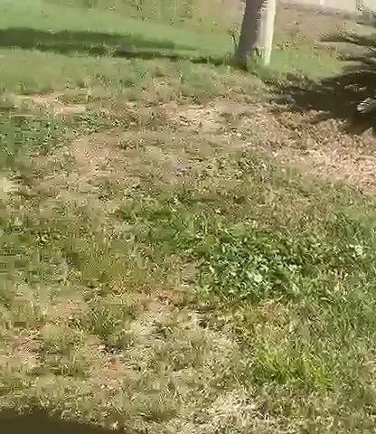 Cum on Hot Blonde After Outdoor Public Sex_adc4dd51