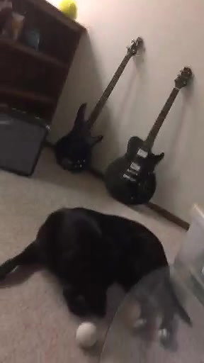 Girl making herself wet in public photoshoot_377689ee