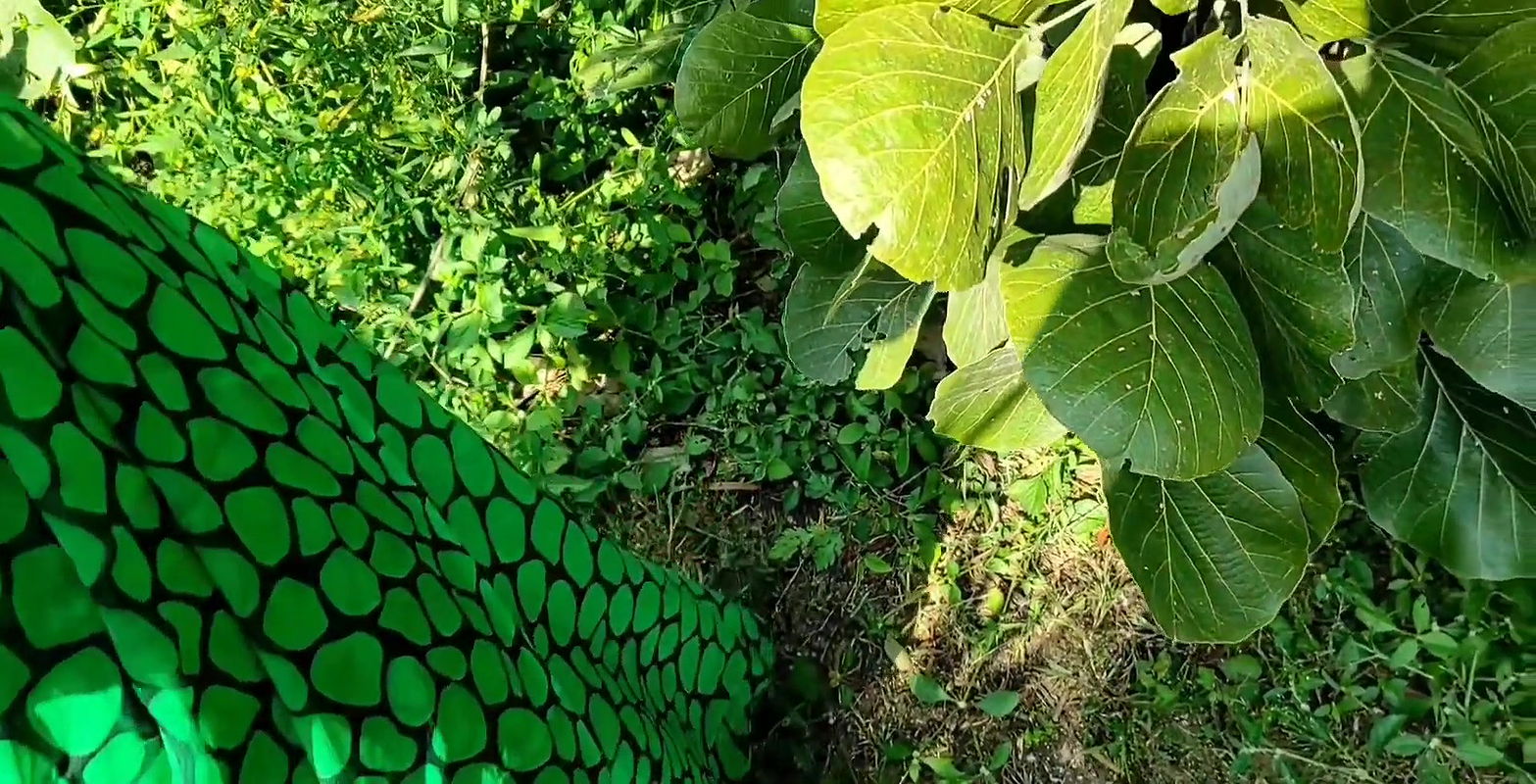 Kheti karne wale majdoor ki jawan Bibi ki jangal mein choda.