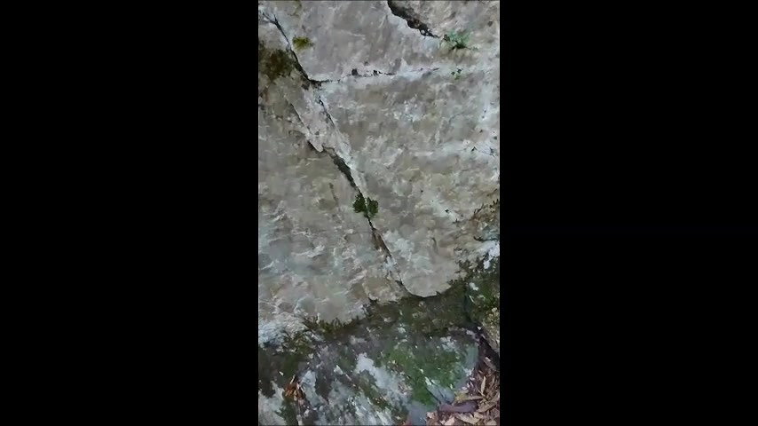 I ASKED RANDOM GUY TO MASSAGE MY PERFECT BODY ONTHEBEACH – TrkPublic_7b2cf9ca