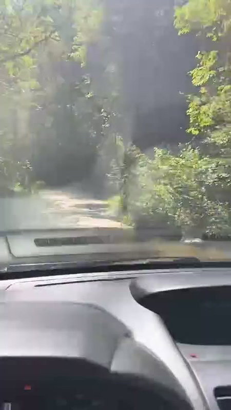 MIJAtilde_O BANHEIRO PUBLICO NO BRAZIL -01_25d6045f